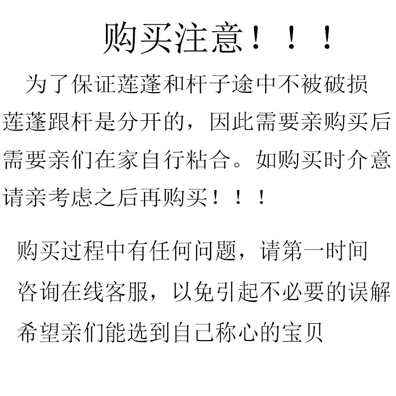 新品促销干莲蓬真杆搭配装饰手工花客厅家居落地摆件禅意拍摄道具