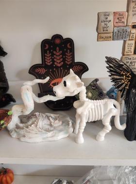 2023NewCoSkeletonHaD