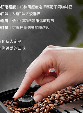 德龙EMAX冰咖家用全自动咖啡机