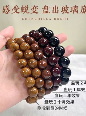 天然财源紫金鼠手串光珠菩提子雕刻醒狮手持念珠佛珠文玩盘玩手链