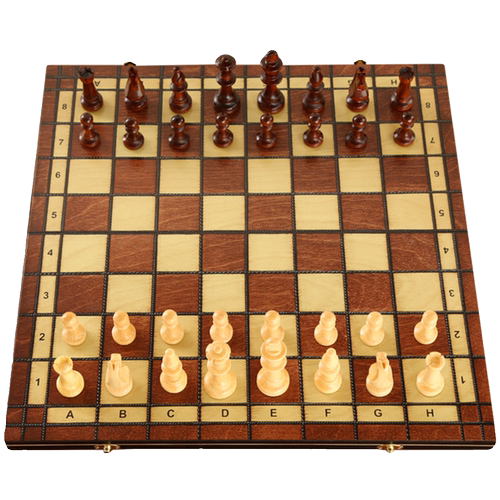 国际象棋磁性高档实木折叠棋盘儿童入门成人比赛专用特大号chess - 图3