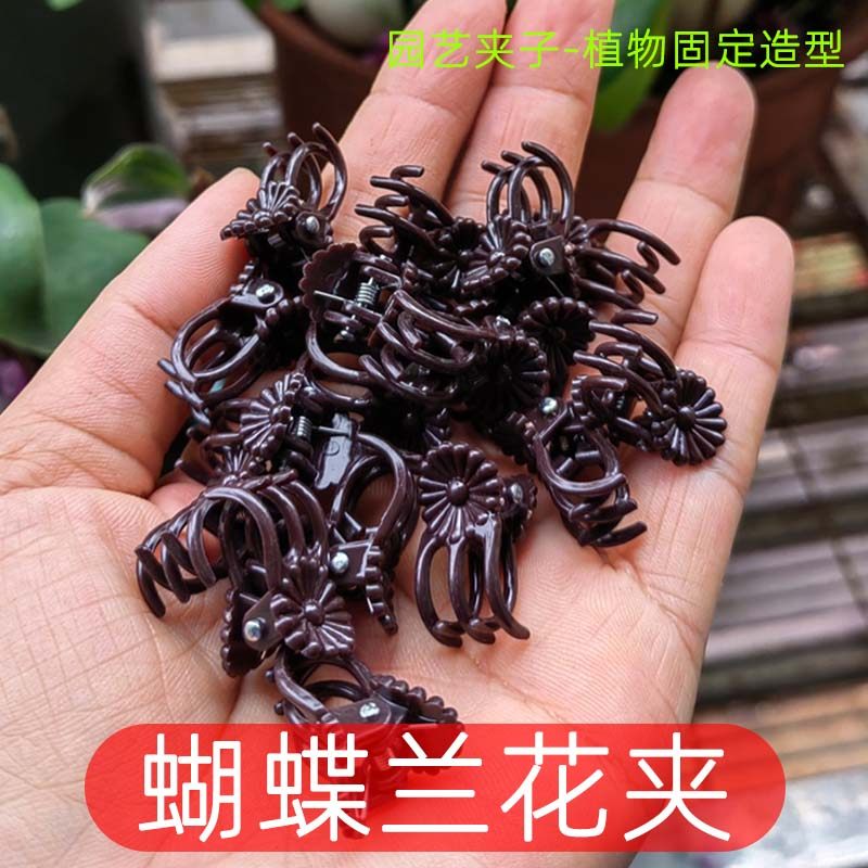 蝴蝶兰专用夹子兰花支架植物支撑杆爬藤类花卉防倒伏固定铁丝园艺,淘宝优惠券,粉丝福利购,淘宝优惠卷