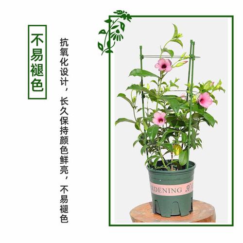 花架爬藤支架花盆园艺支柱月季铁线莲球兰绿萝植物防倒攀爬支撑杆-图1