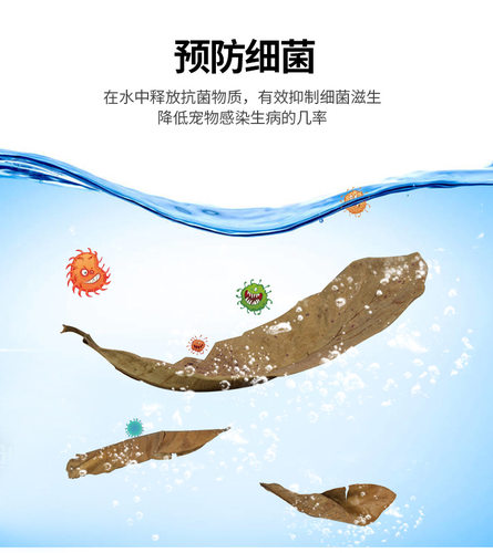 乌龟龙眼叶养龟躲避治疗水龟龟腐皮烂龟缸造景植物叶子饲养龟PH调 - 图0
