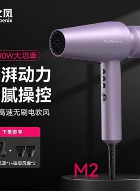 火之凤吹风机大功率家用理发店用