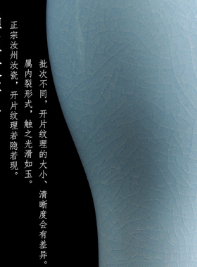 汝窑客厅陶瓷花瓶新中式