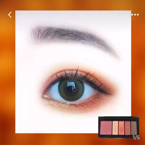 Румяна, цветовой круг с розой в составе, тени для век, новая коллекция, 5 цветов