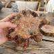 Wabi-sabi wind log growth ring agarwood chip natural-shaped coaster anti-scalding heat-insulating coaster comes with woody photography props
