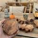 Wabi-sabi wind log growth ring agarwood chip natural-shaped coaster anti-scalding heat-insulating coaster comes with woody photography props