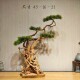 Simulated welcoming pine root carving bonsai ornaments for landscaping hotel B&B tea room tree roots simulated tree entrance hall indoor landscape
