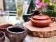 Cedar thuja conformable dry foam iron pot cup holder pot base teapot pad coaster cup holder pot holder western food insulation pad