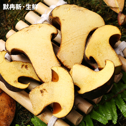 【现货】新鲜黑牛肝菌500g 现摘云南当野生食用菌蘑菇见手青鲜菌 - 图2