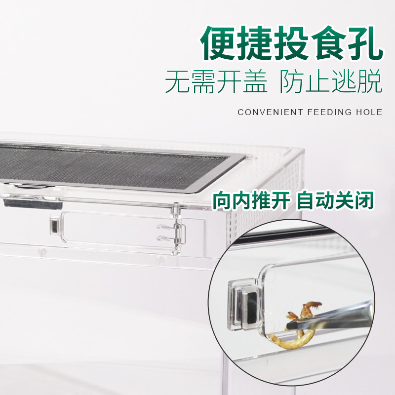 亚力克水晶爬虫箱爬宠缸饲养盒透明守宫角蛙睫角蜥蜴乌龟仓鼠造景,淘宝优惠券,粉丝福利购,淘宝优惠卷
