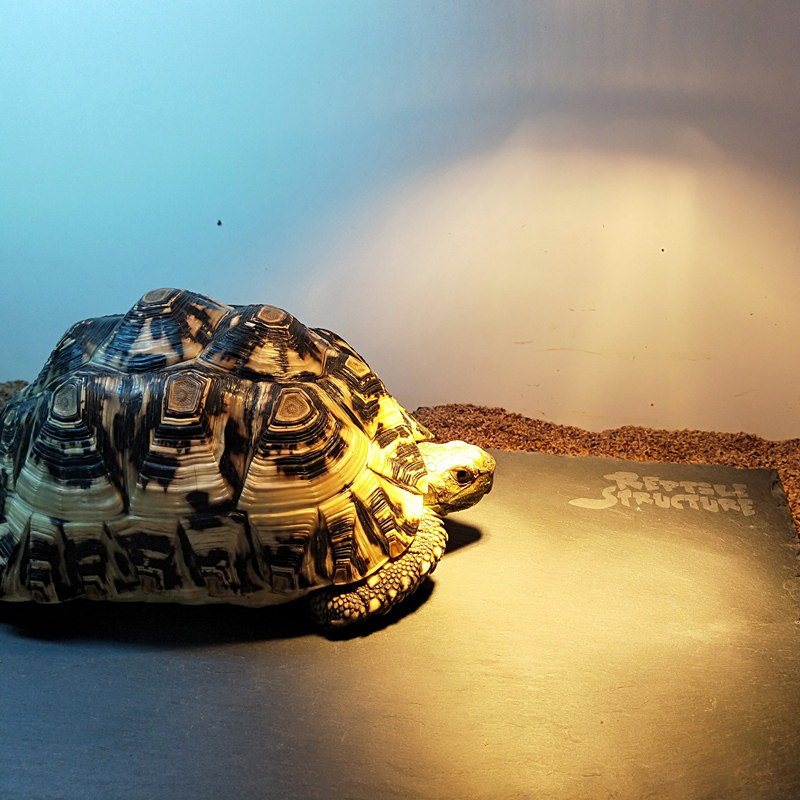 陆龟石板垫材天然岩石食盆食盘岩板爬宠陆龟箱爬虫蜥蜴保湿保温,淘宝优惠券,粉丝福利购,淘宝优惠卷