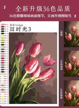 油情画意|数字油画diy郁金香填色