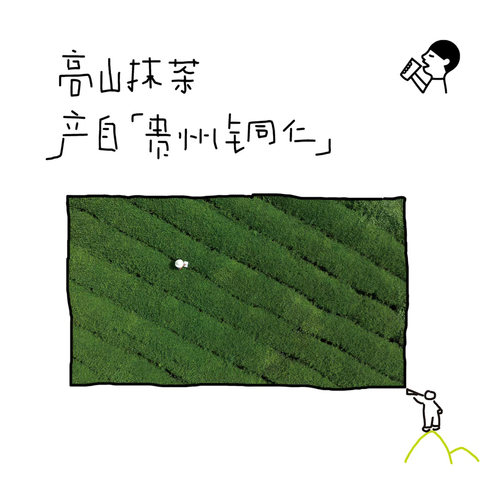 喜茶茉莉清抹玉露清抹原味茶无糖抹茶饮料0脂清爽解腻下午茶500ml - 图1