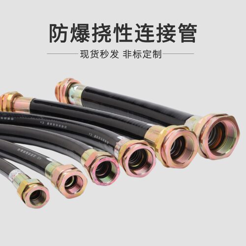 防爆扰性软管DN20 DN15 DN25防爆挠性连接管内螺纹连接监控穿线管 - 图1