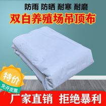 Double film white cloth suspended ceiling anti-rain cloth waterproof sunscreen thickened cloth breeding factory packing moisture-proof farm roller shutter cloth