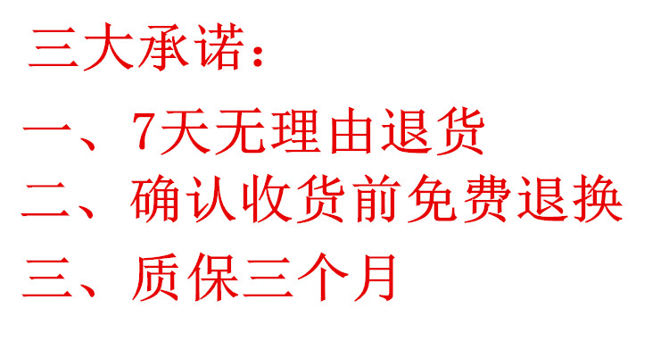 配龙韵芝浦富格卡瓦尼戈麦斯充电式锂电池充电手电钻550电机配件-图2