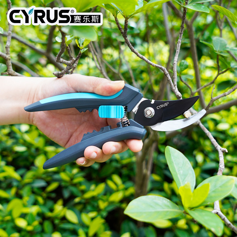 海蒂的花园 赛乐斯园艺剪刀修枝剪家用花艺月季绣球花卉修剪工具,淘宝优惠券,粉丝福利购,淘宝优惠卷