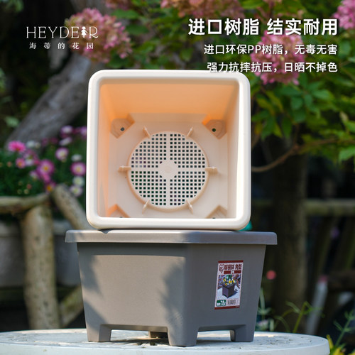 海蒂的花园爱丽思圆形方形球根花盆简约花卉绿植植物阳台庭院栽种 - 图0