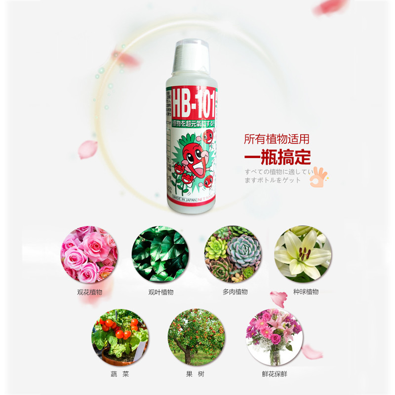 海蒂的花园 HB101活力素月季绣球花卉植物室内花营养液植物通用型-图2