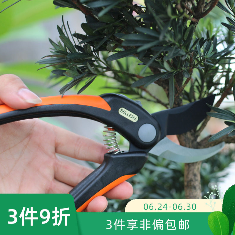 花庭园艺推荐品牌 新人首单立减十元 21年6月 淘宝海外