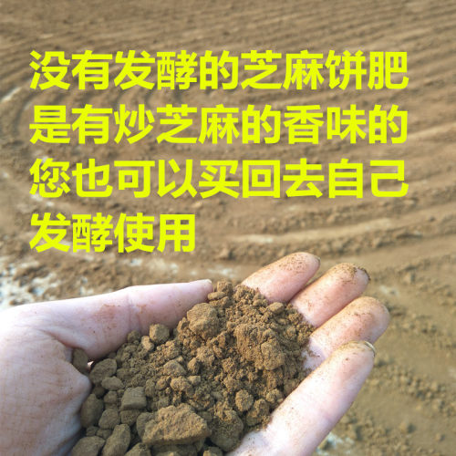 有机发酵腐熟芝麻渣豆饼菜籽饼肥农家蔬菜园花卉盆栽果树通用肥料 - 图2