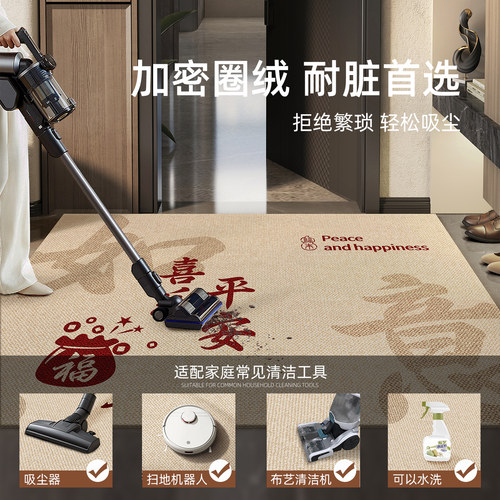 地垫入户门进门地毯门口家用门垫防滑入户高级玄关客厅脚垫可裁剪 - 图2