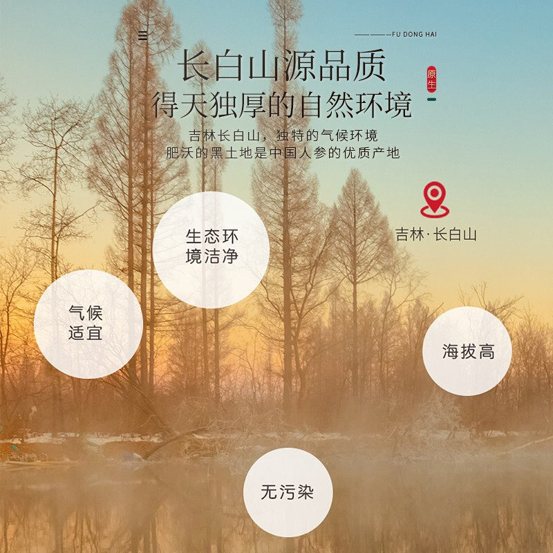 福东海长白山红参片官方旗舰店蜜膏 福东海人参/园参及其制品