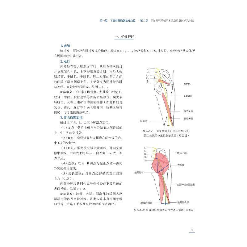 RT现货速发 下肢骨科的微创:原理和实践:principles and practice9787572708206 徐强四川科学技术出版社医药卫生 - 图0