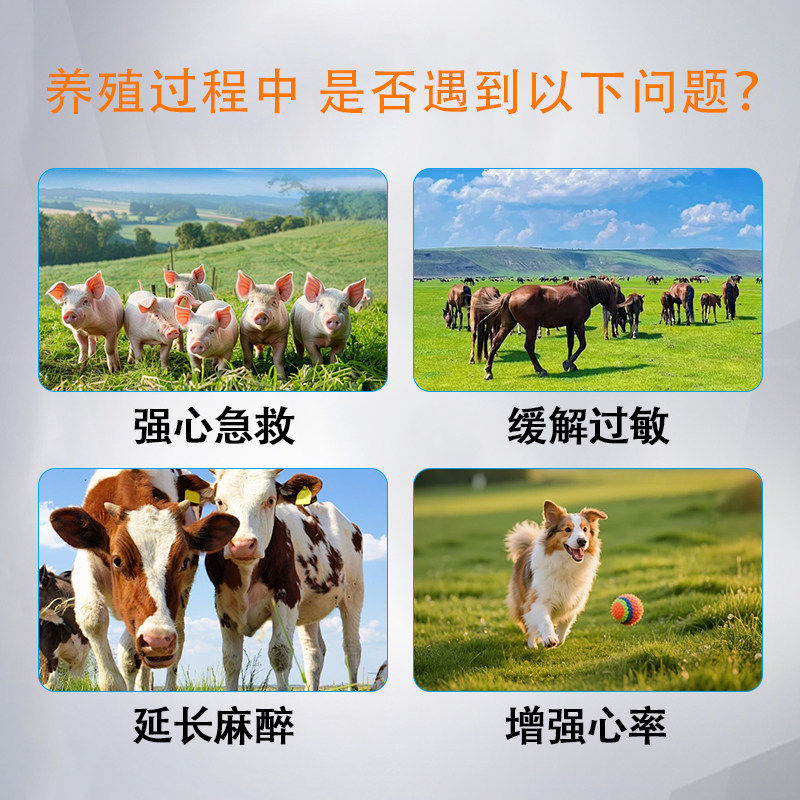 兽药盐酸肾上腺素兽用缓解过敏急救针强心针马牛羊猪用猫狗犬注射,淘宝优惠券,粉丝福利购,淘宝优惠卷