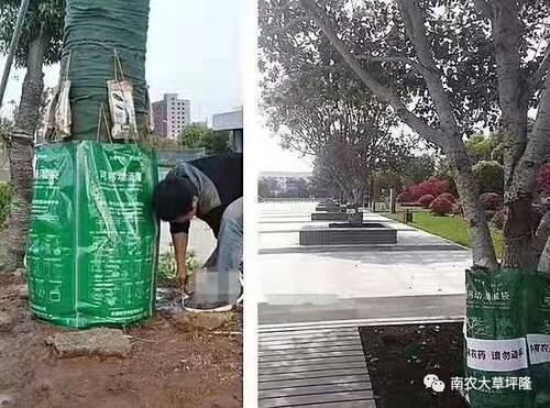 绿化滴灌袋 可移动营养液袋 移栽树木专用滴灌袋 园林养护袋50L - 图3