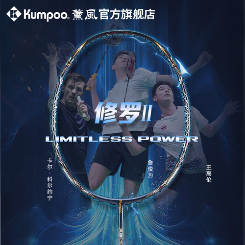 薰风羽毛球拍超轻碳素纤维专业比赛球拍羽拍熏风蚀日三代 - 图1