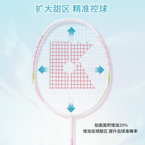 薰风旗舰店正品新款羽毛球拍复合碳素纤羽拍超轻双拍套装熏风RS01 - 图0