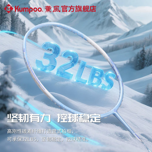 薰风新款羽毛球拍碳素纤维超轻耐打训练比赛单拍熏风Blizzard66 - 图3