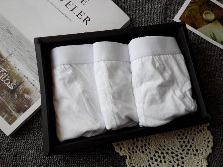 外贸男士纯棉内裤全棉三角性感纯白色有大码胖子宽边中腰包邮,淘宝优惠券,粉丝福利购,淘宝优惠卷