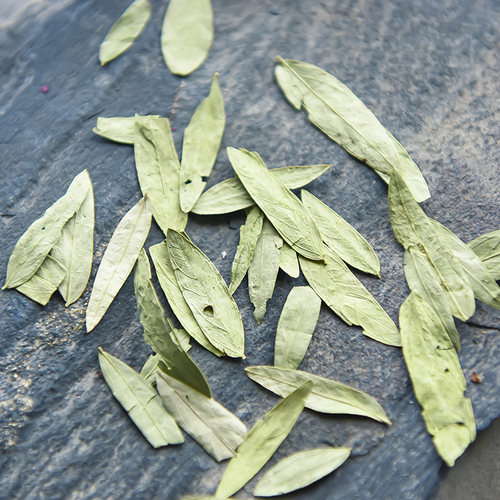 番泻叶500g正品番泄叶蕃泻叶潘另有特级荷叶决明子柠檬玫瑰花茶叶 - 图0