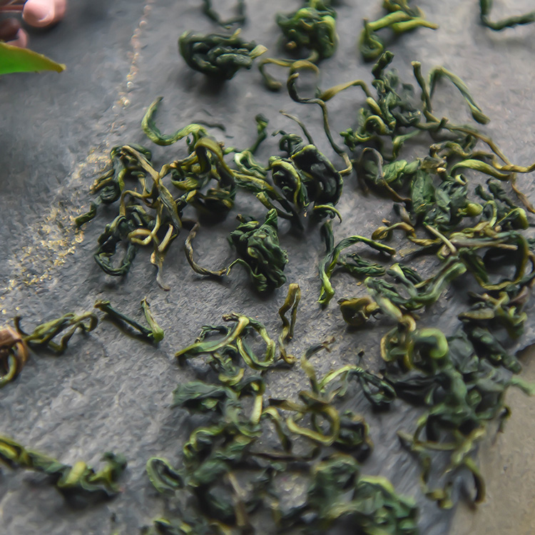 蒲公英茶500g正品长白山纯正天然整株非野生特级婆婆丁茶火去泡茶