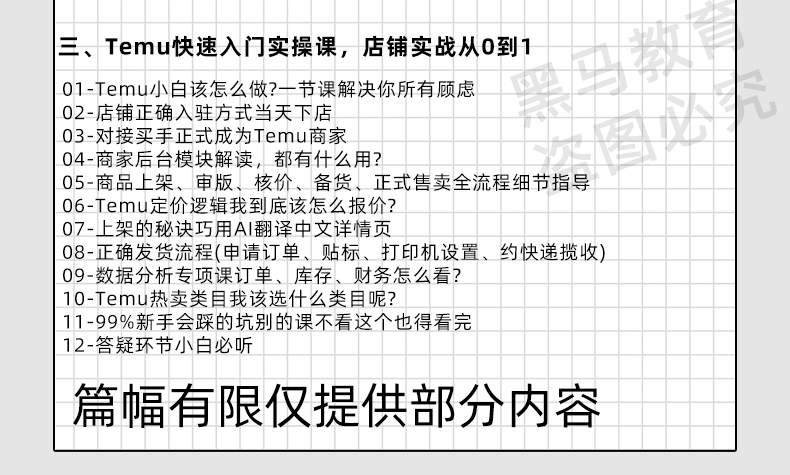 2024年跨境拼多多temu教学实战网店经营技巧培训电商运营课程教程 - 图3