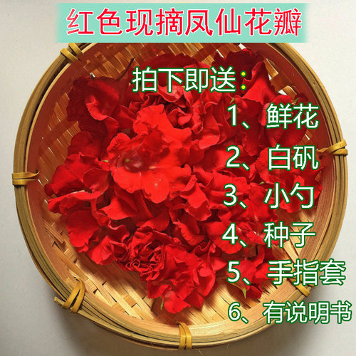 现摘白色凤仙花指甲草花染指甲花红凤仙花鲜花瓣泡醋花粉种苗 - 图1