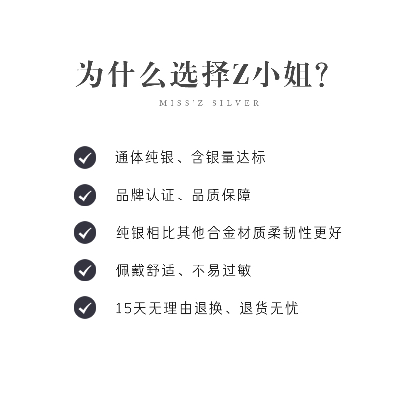 Z小姐长款流苏耳环女2024新款潮时尚百搭耳线女纯银气质耳坠耳钉-图2