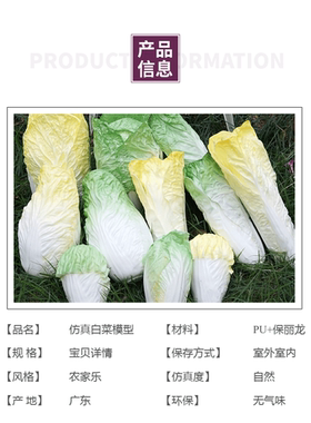 仿真大白菜 假蔬菜 娃娃菜 生菜 果蔬菜叶 道具摆件专柜橱柜展示