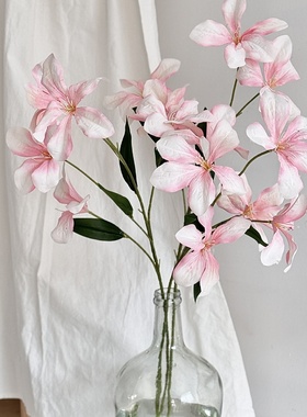 油画风火焰兰仿真花假花家居客厅摆件婚礼堂花园布景店铺橱窗装饰