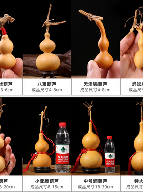 特大巨型葫芦种子品种纯正