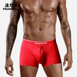 Драконки Дракона в Vitality отделяется от мужских ружков нижнего белья, мошонки -мошонки, карманов, четырехугольников, одной комнаты, одной зал, дышащей и влажности