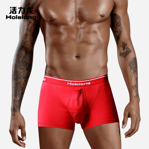 Драконки Дракона в Vitality отделяется от мужских ружков нижнего белья, мошонки -мошонки, карманов, четырехугольников, одной комнаты, одной зал, дышащей и влажности