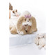 Yang Erdameng plush puppy home clothes