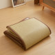 Summer Japanese style tatami folding mat mattress