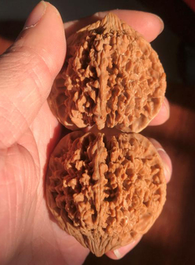 45mm经典野生百花山满天星狮子头文玩把件精选老树刺扎手47mm大送
